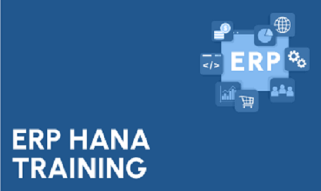 ERP SAP HANA Training in Gurgaon